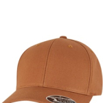 Flexfit 110 Curved Snapback